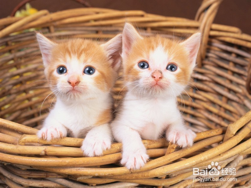 如何玩转天天爱消除