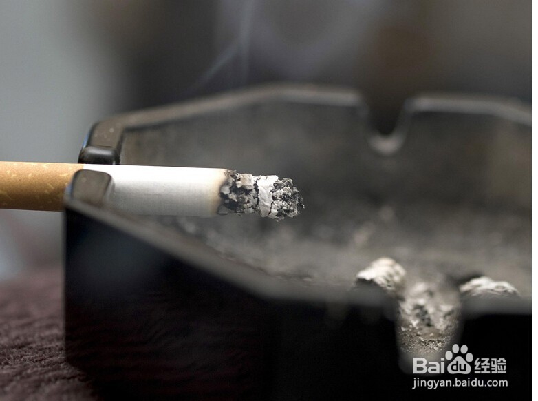 教你怎么轻松去除室内异味