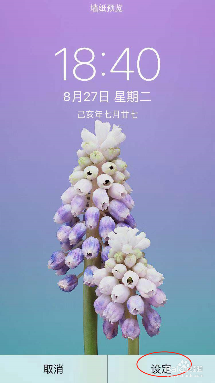 怎么给iPhone设置墙纸