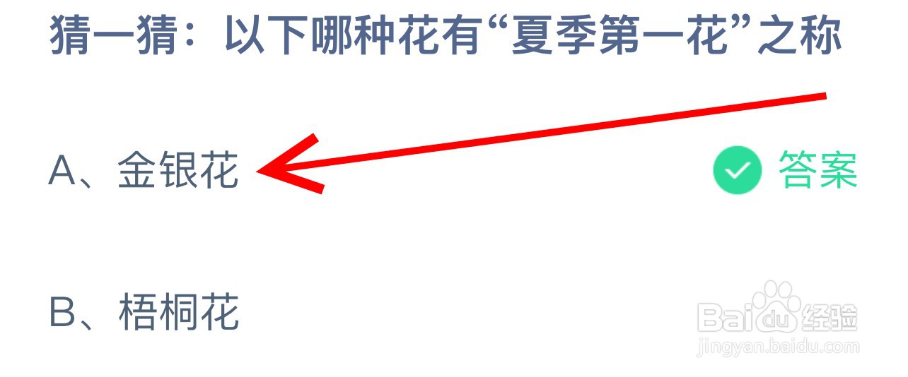 蚂蚁庄园猜一猜以下哪种花有夏季第一花之称