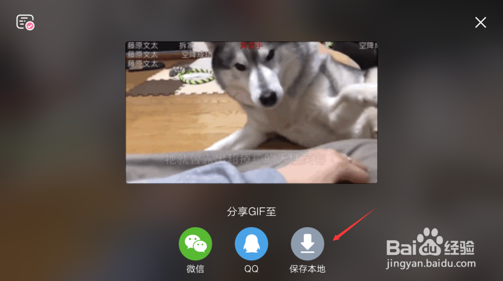 手机哔哩哔哩B站怎么截GIF动图