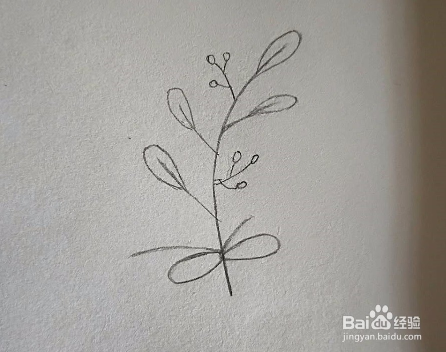 铅笔画-怎么画一款简单好看的绿植