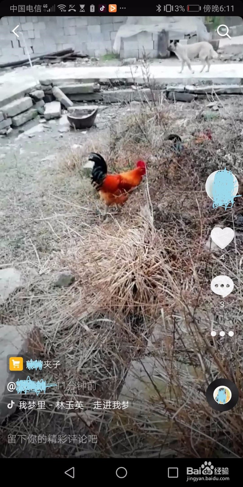 抖音短频频的核心内容有那些