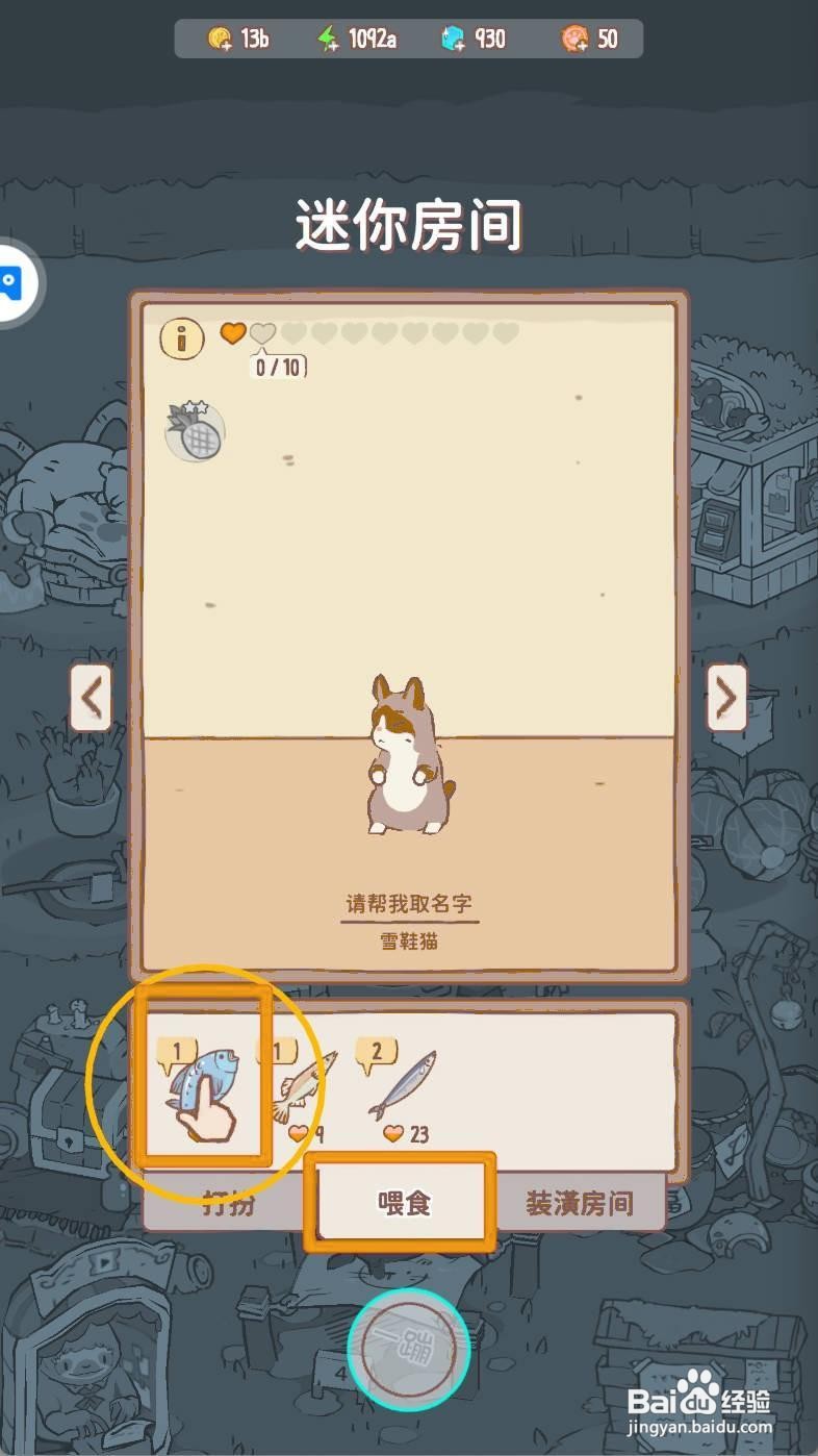 猫咪和汤如何给卷心菜猫咪喂食