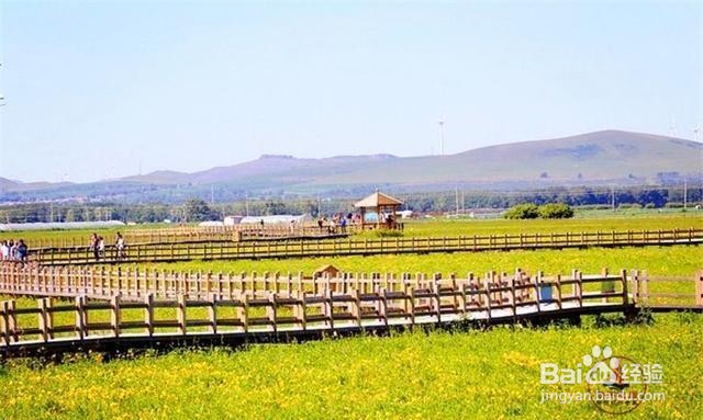 五花草甸风景区旅游怎么样