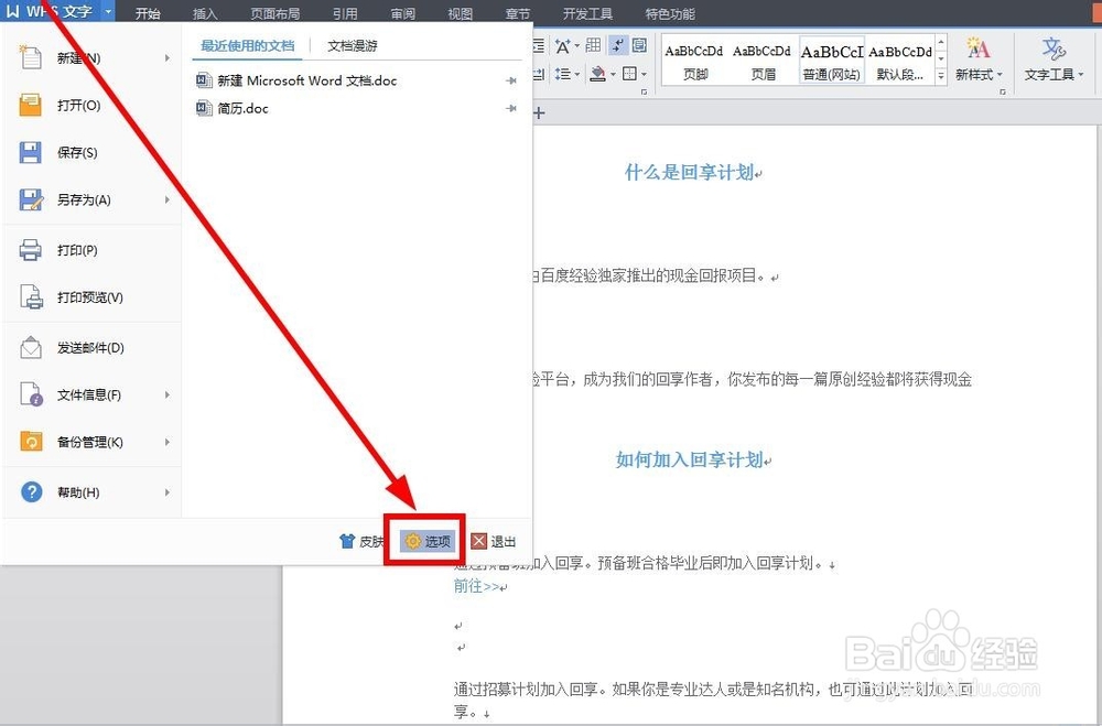 WPS文档怎样去掉段落标记