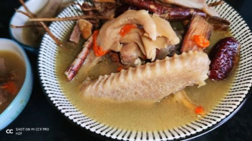 五指毛桃老鸭汤