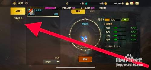 DNF手游如何佩戴宠物装备