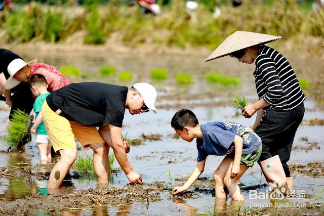 朗基如何助推乡村发展