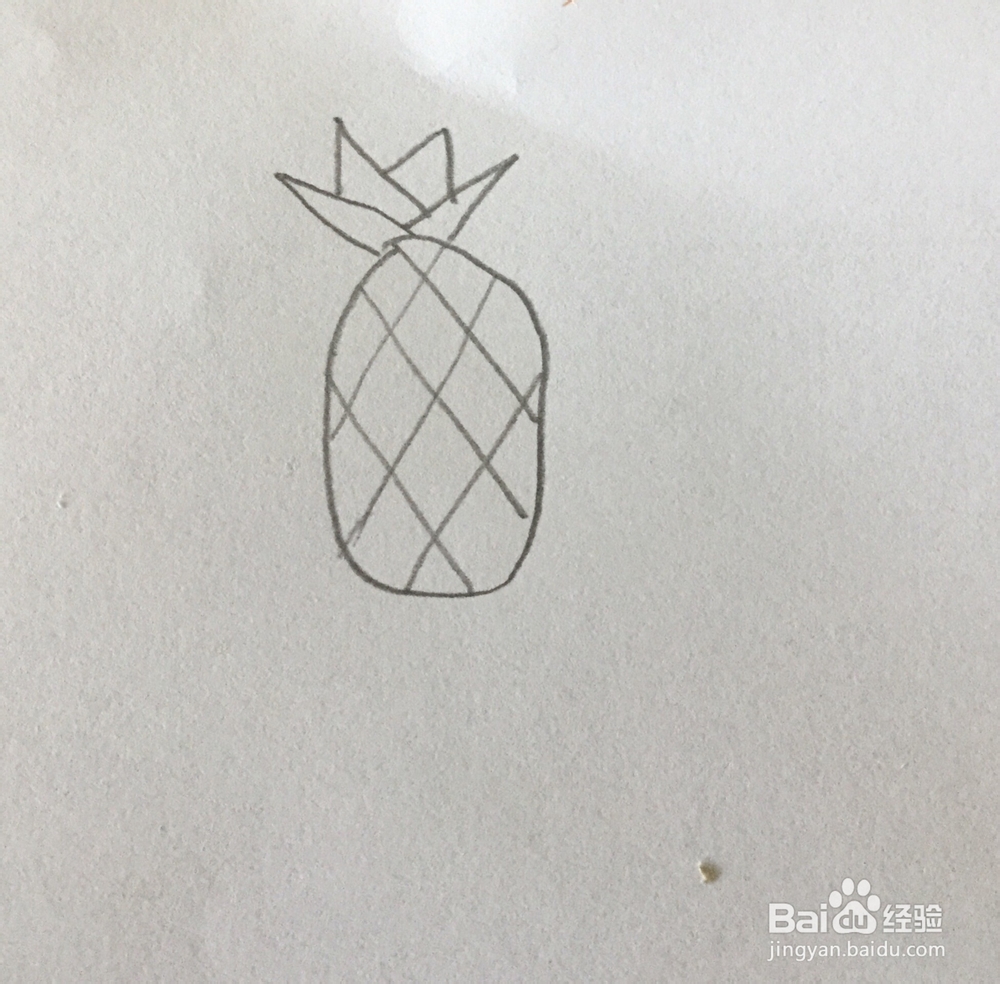 菠萝简笔画教程