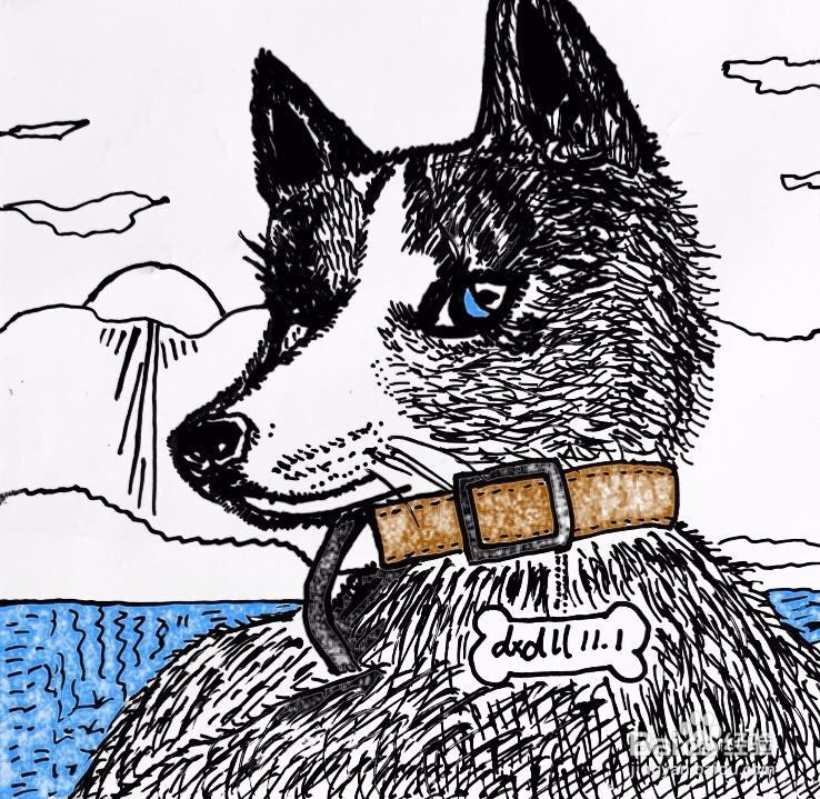 茉莉蜡笔手绘之萌宠哈士奇