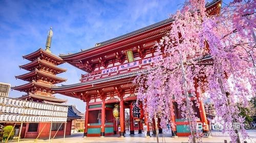 去日本旅游攻略2