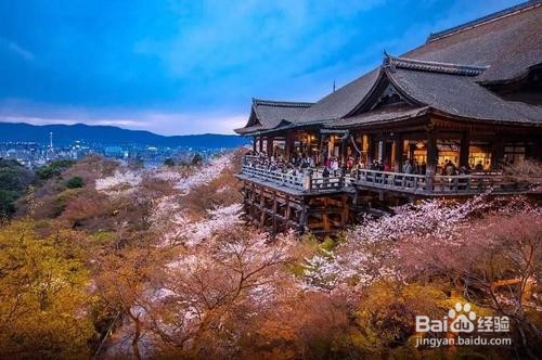 京都 带娃旅游攻略