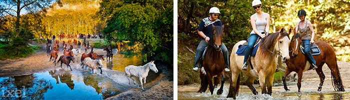 双城记 :悉尼+凯恩斯浪漫之旅