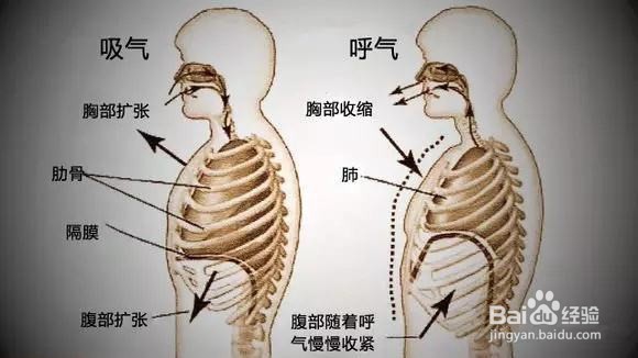 声乐演唱中如何产生共鸣并进行自我支配调整