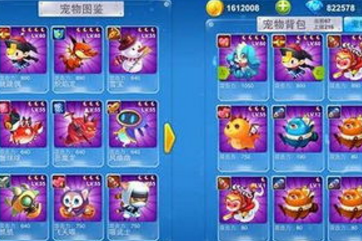 全民飞机大战宠物攻略