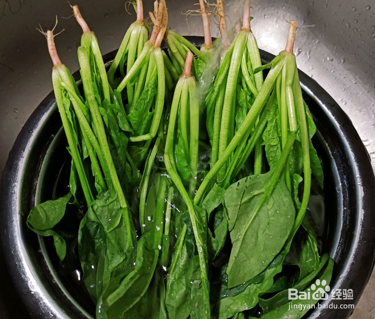凉拌果仁菠菜的做法
