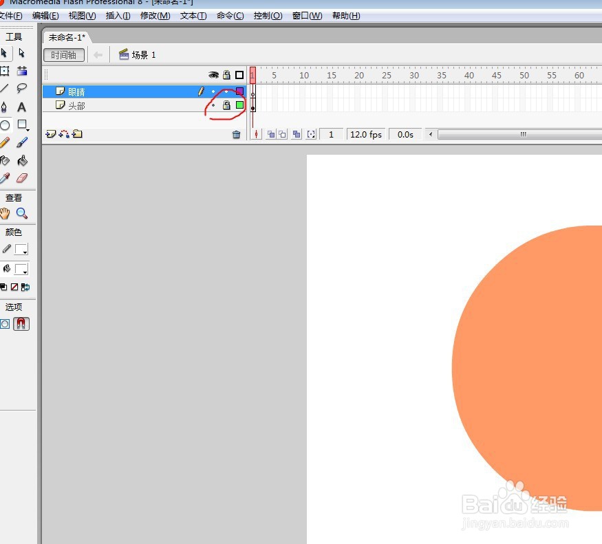 flash快速绘制卡通人物的眼睛