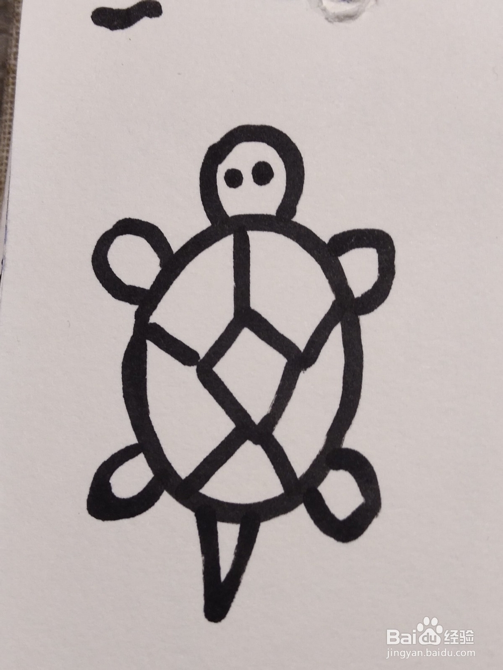 <b>怎么画简笔画卡通动物之小乌龟</b>