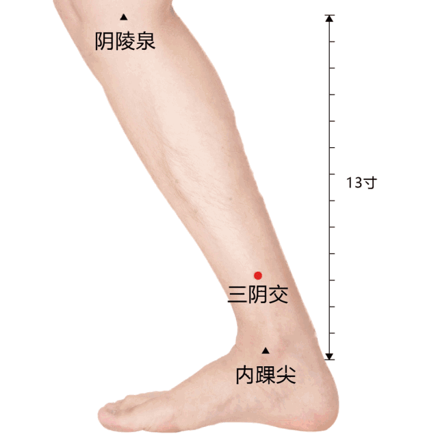 立冬——天气冷了给家人多一点“艾”