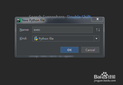 如何使用python语言中的exec函数执行字符串命令