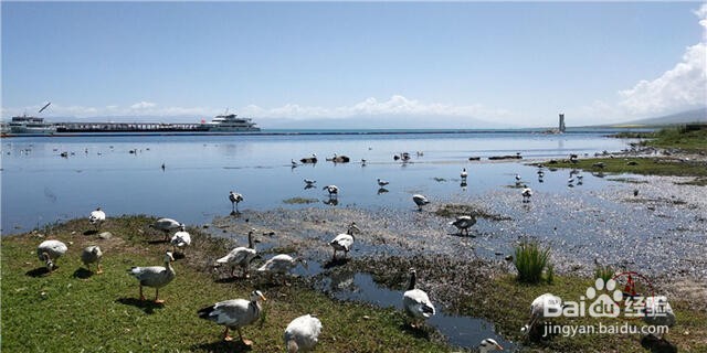 青海湖二郎剑景区旅游怎么样