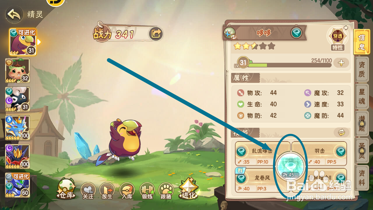 西普大陆哆哆的【彩喙啄击】是什么大招效果？