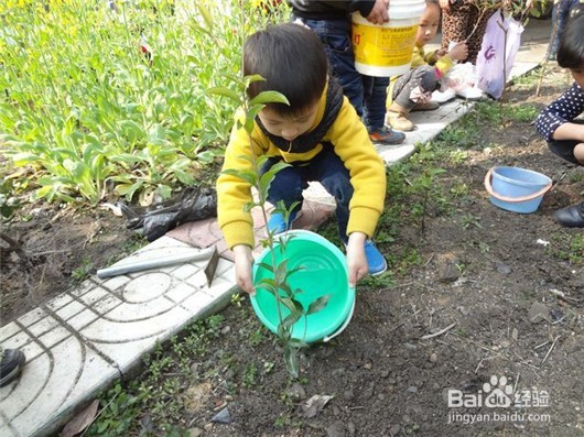 2018年植树节是哪天，如何和孩子过植树节？