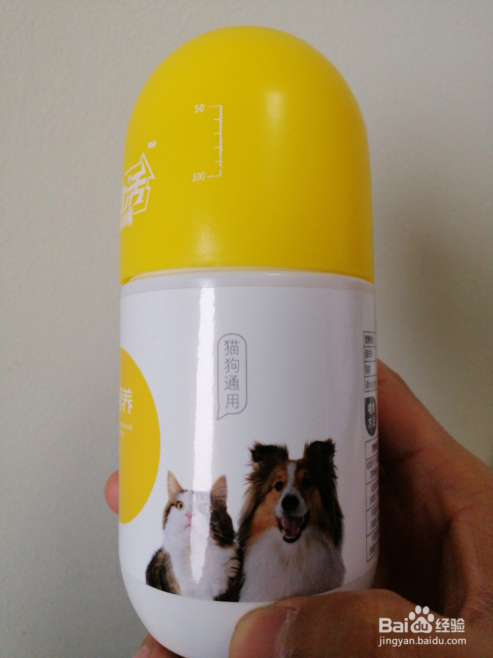 用宠物饮料给宠物猫狗补水的方法