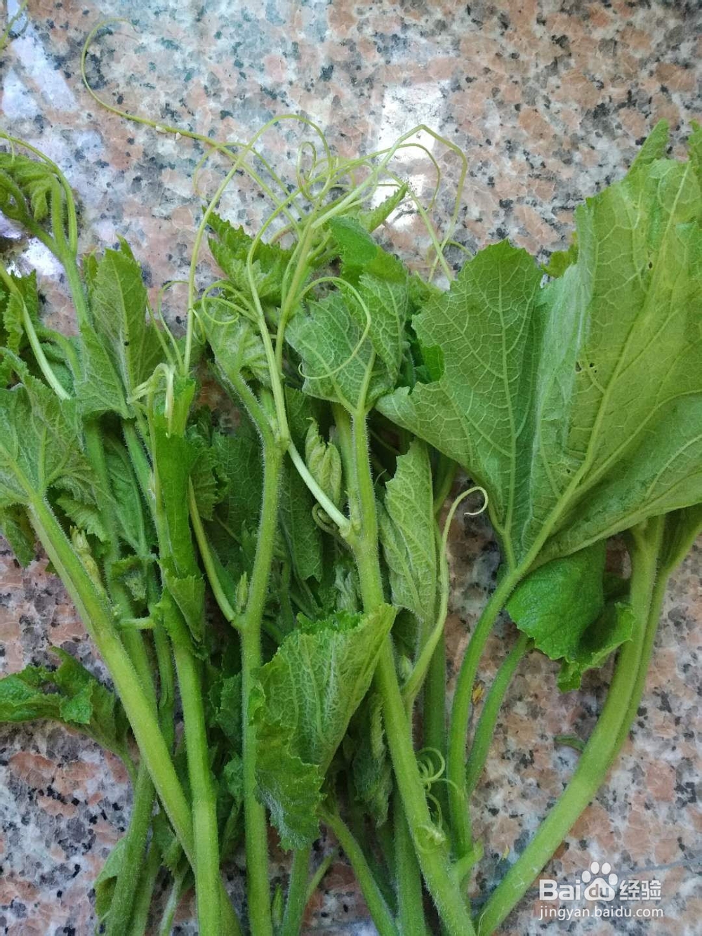 美食：清炒南瓜藤