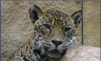 好的构图是成功的一半