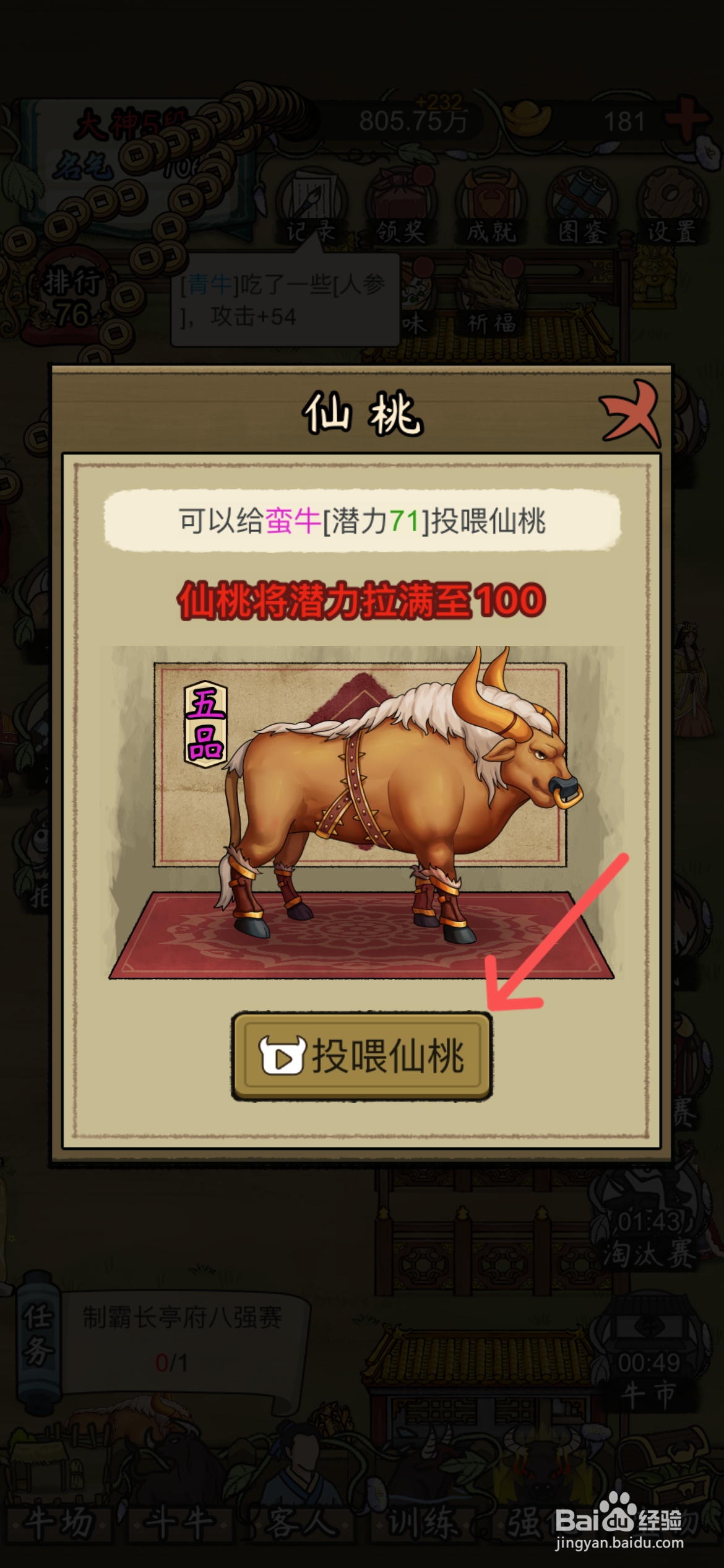 叫我养牛王怎么给牛场蛮牛喂仙桃