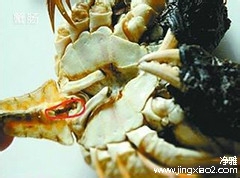 螃蟹哪些部位不能吃？？？
