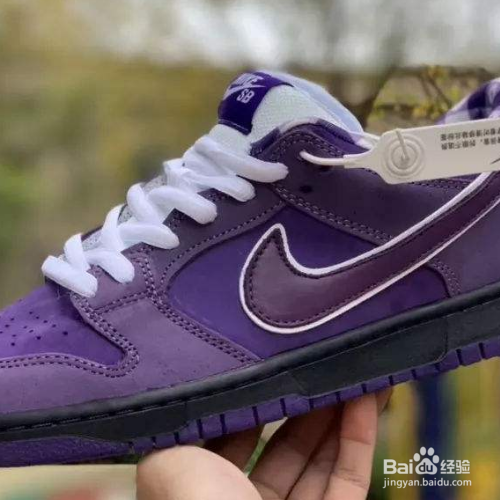 nikesb北极狐真假辨别