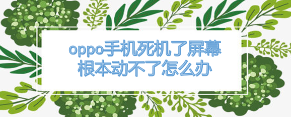 <b>oppo手机死机了屏幕根本动不了怎么办</b>