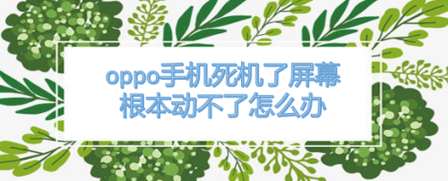 oppo手机死机了屏幕根本动不了怎么办