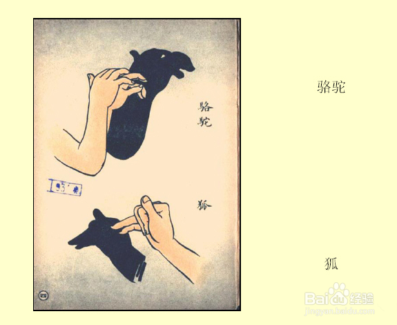 睡前跟孩子一起玩手影游戏吧