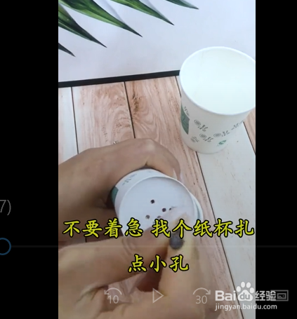 植物变黄了怎么办呢？