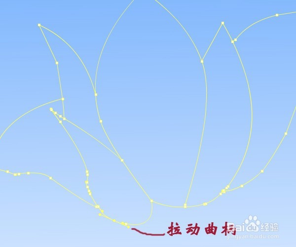 flash鼠绘——木兰花
