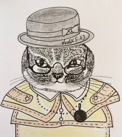 彩铅画教程之苏格兰折耳猫