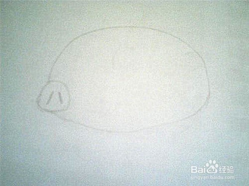 简笔画猪的画法: