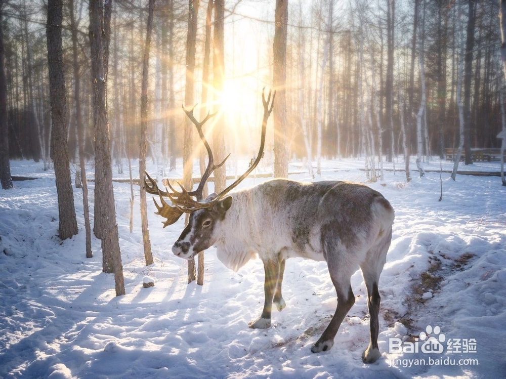 人少景美的小众旅行地，你去过几个？