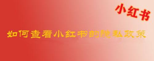 如何查看小红书的隐私政策