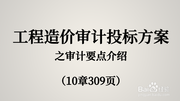 工程造价审计投标方案之审计要点介绍(10章309页)