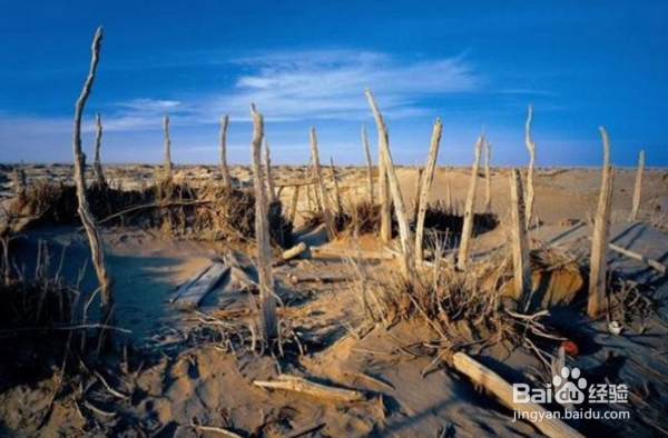 一张门票3500元！中国最贵的景点只有5万人去过