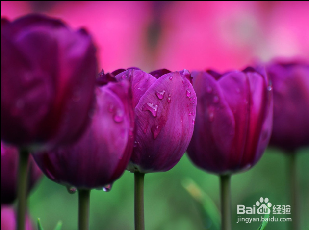 实习女主播被砍问题,我们应如何避免