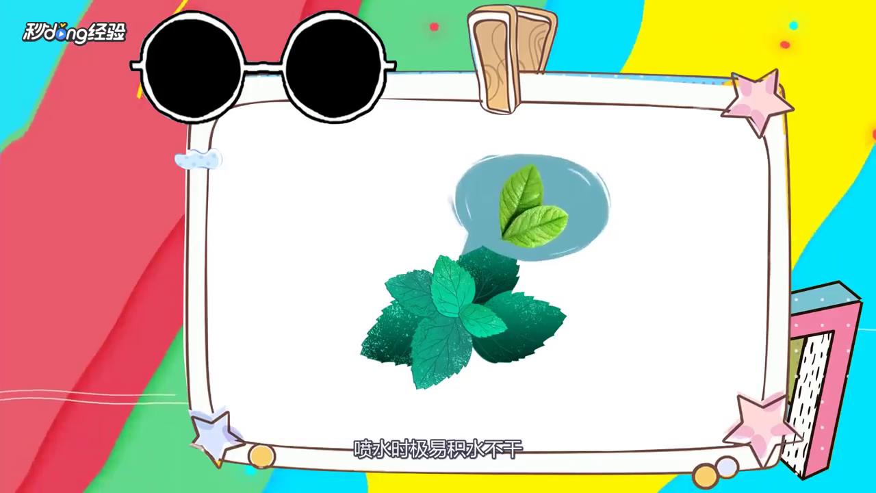 薄荷枯萎怎么救活？