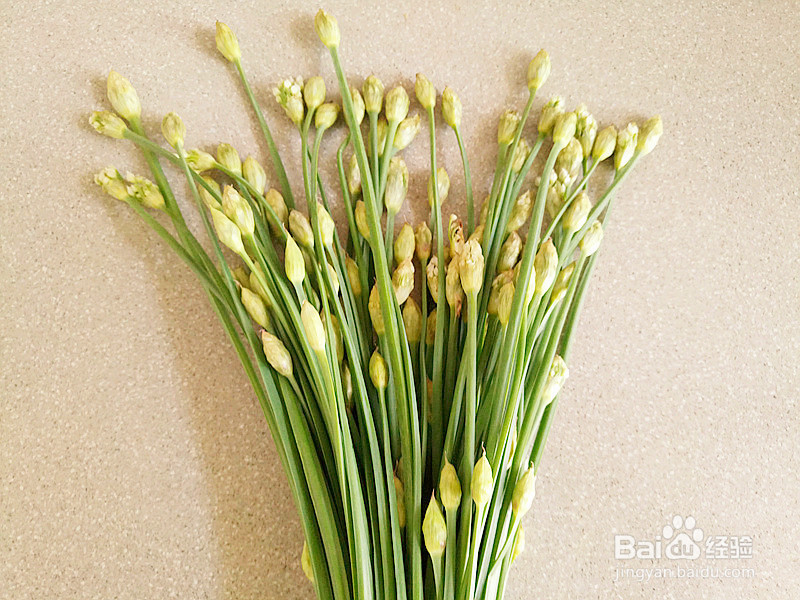 韭菜苔的做法