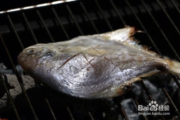 飞狐为邻,揭秘养在深闺中的空中草原!