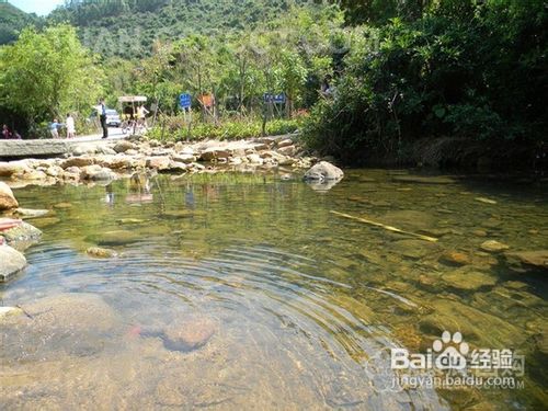 深圳西冲杨梅坑踏青之旅